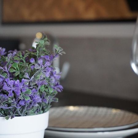 Appart Chic & Moderne Avec Balcon 永河畔拉罗什 外观 照片