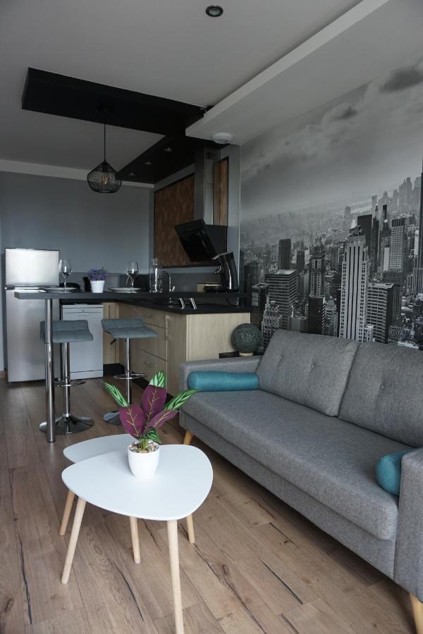 Appart Chic & Moderne Avec Balcon 永河畔拉罗什 外观 照片
